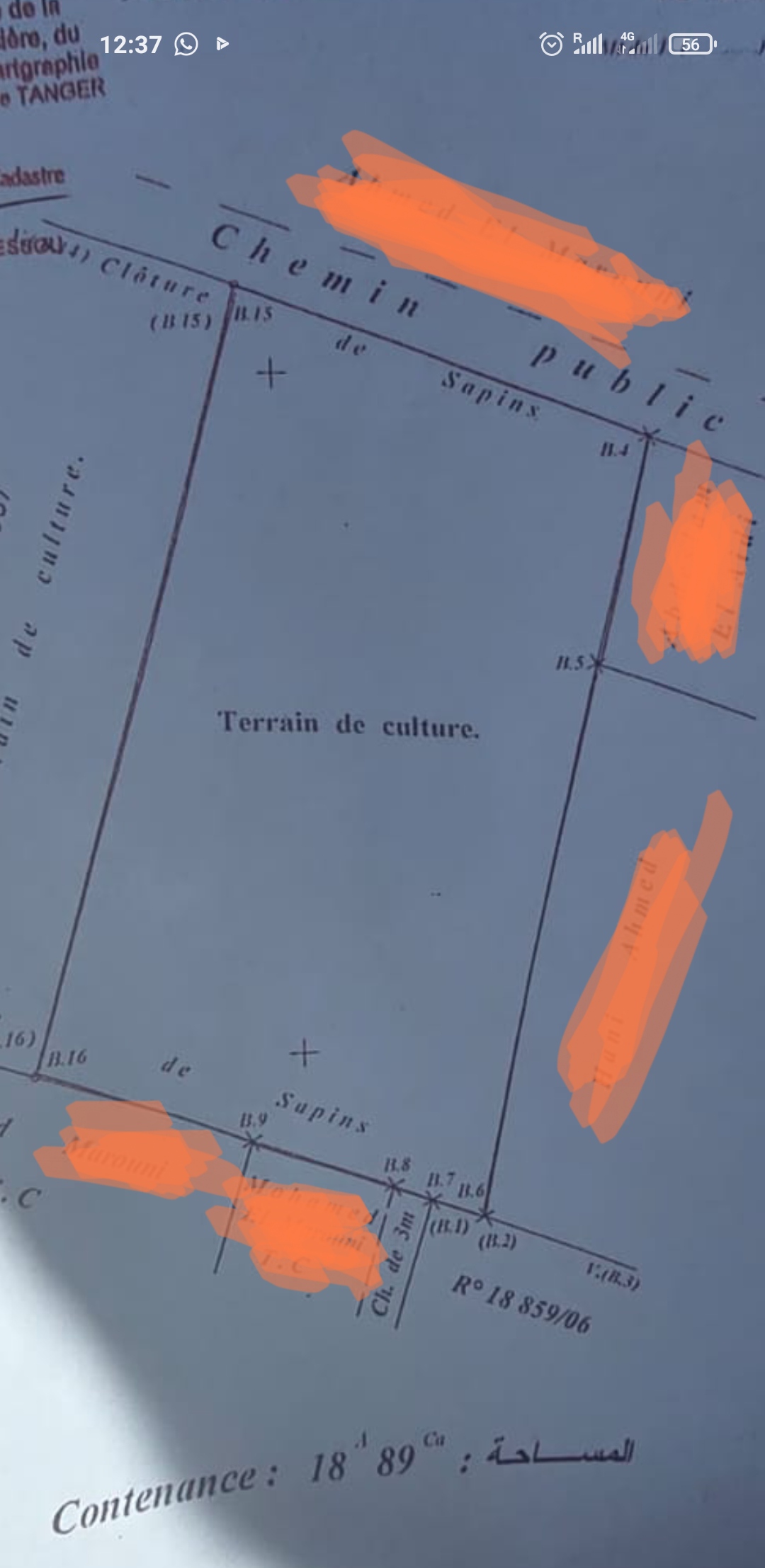 Terreno 